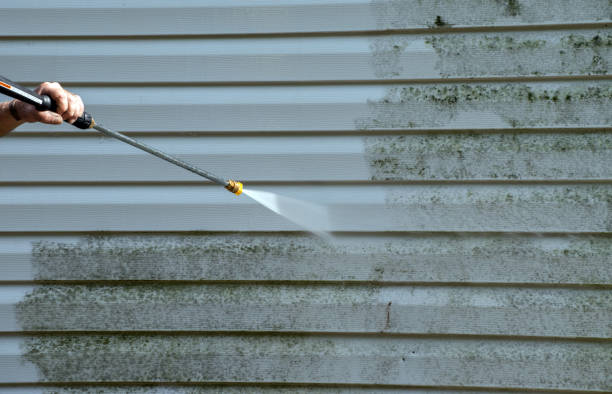 Best Dumpster Area Cleaning  in Newfield, NJ