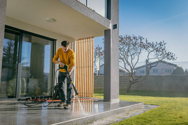Best Solar Panel Cleaning  in Newfield, NJ