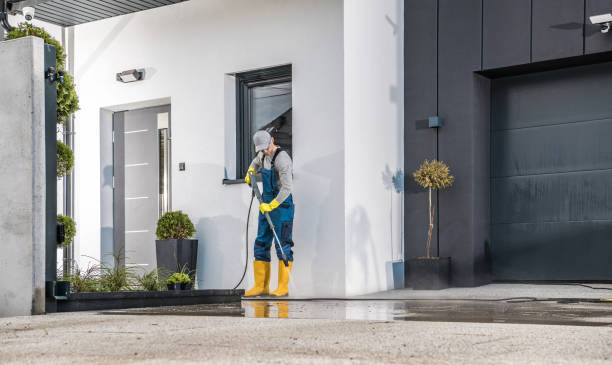 Best Soft Washing  in Newfield, NJ